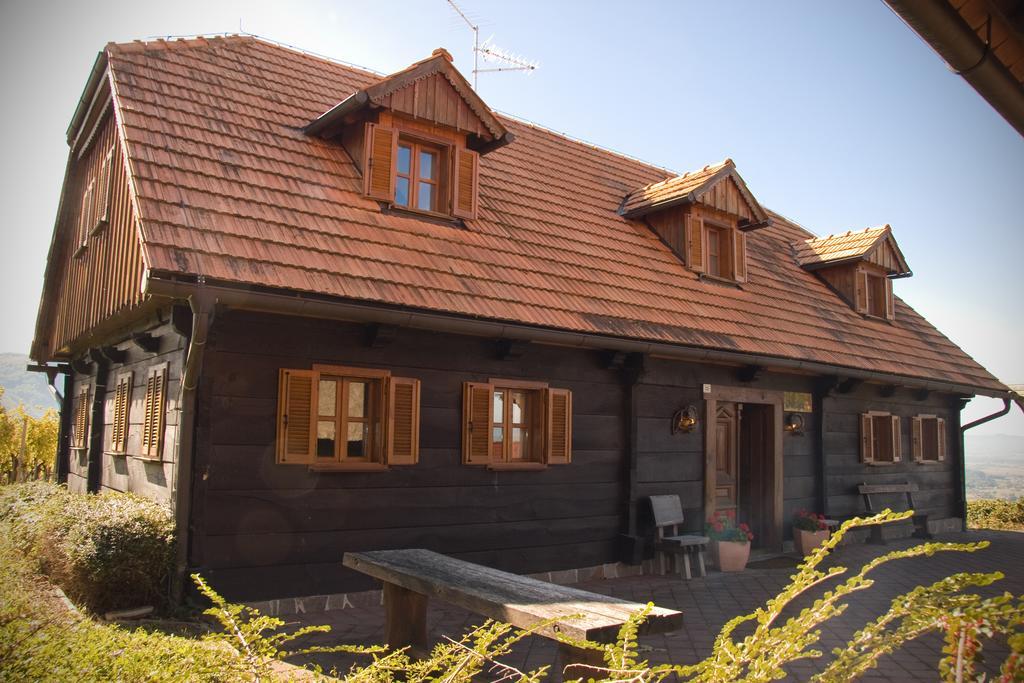 Apartment Apartmaji Zolnir *